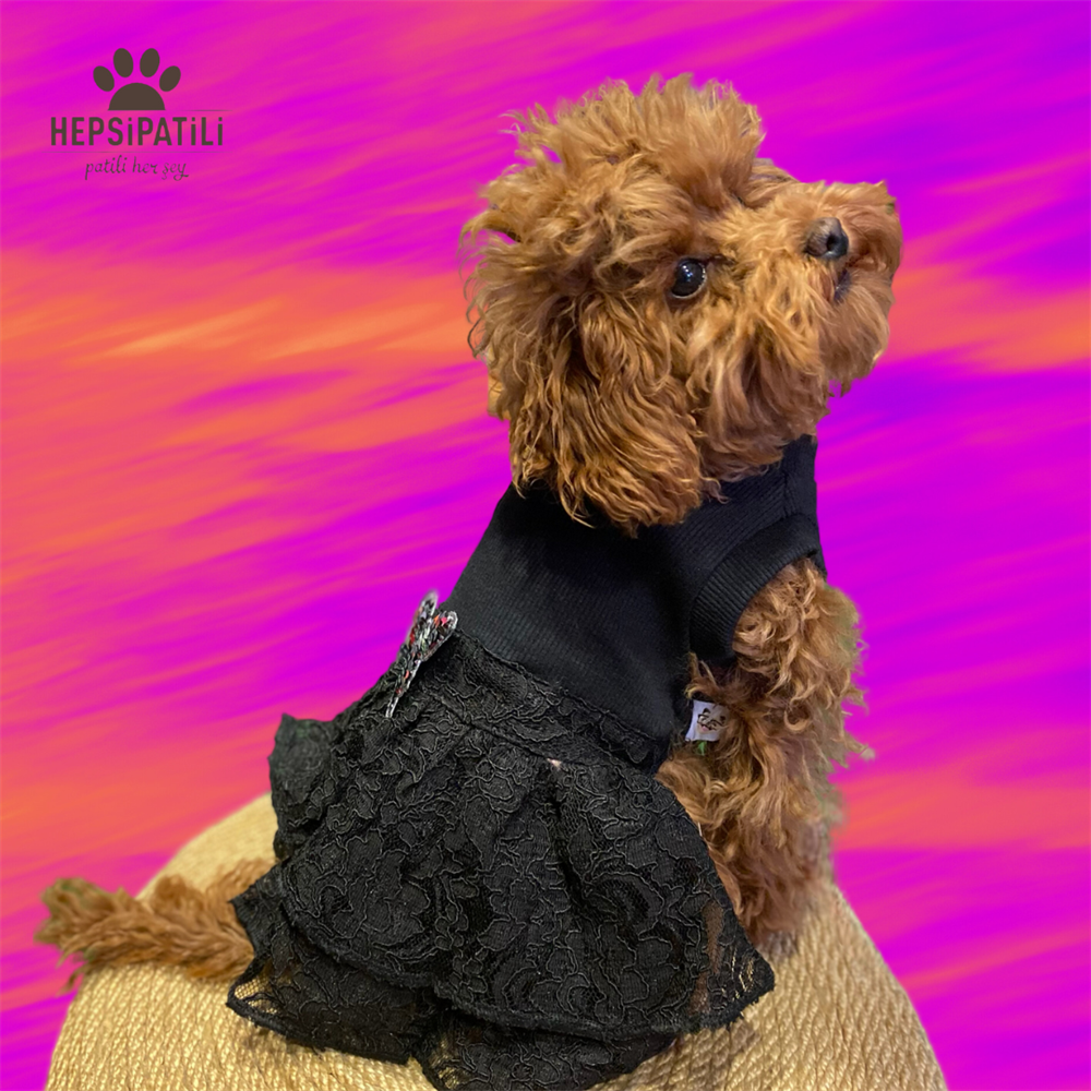 Siyah Dantel Küçük Irk Köpek Elbisesi (1 kg-12 kg arası köpeklere uygun bedenlerde)
