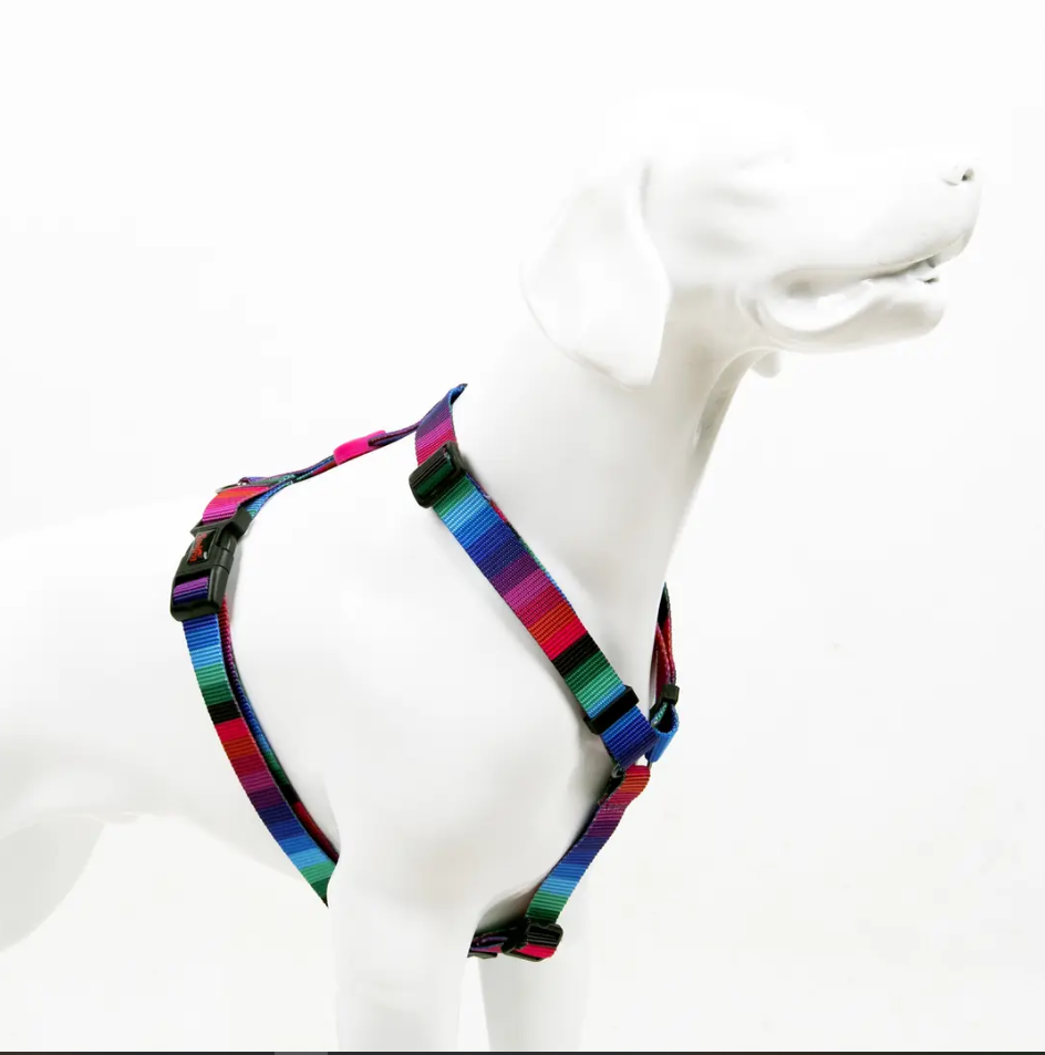 Tailpetz H-tip Wave M Orta Irk Köpek Göğüs Tasması (Göğüs 42 cm x 69 cm)
