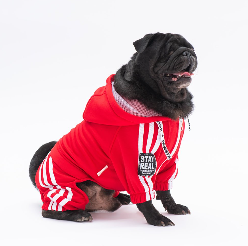 Pawstar Kırmızı Tuta Küçük Irk Köpek Tulumu