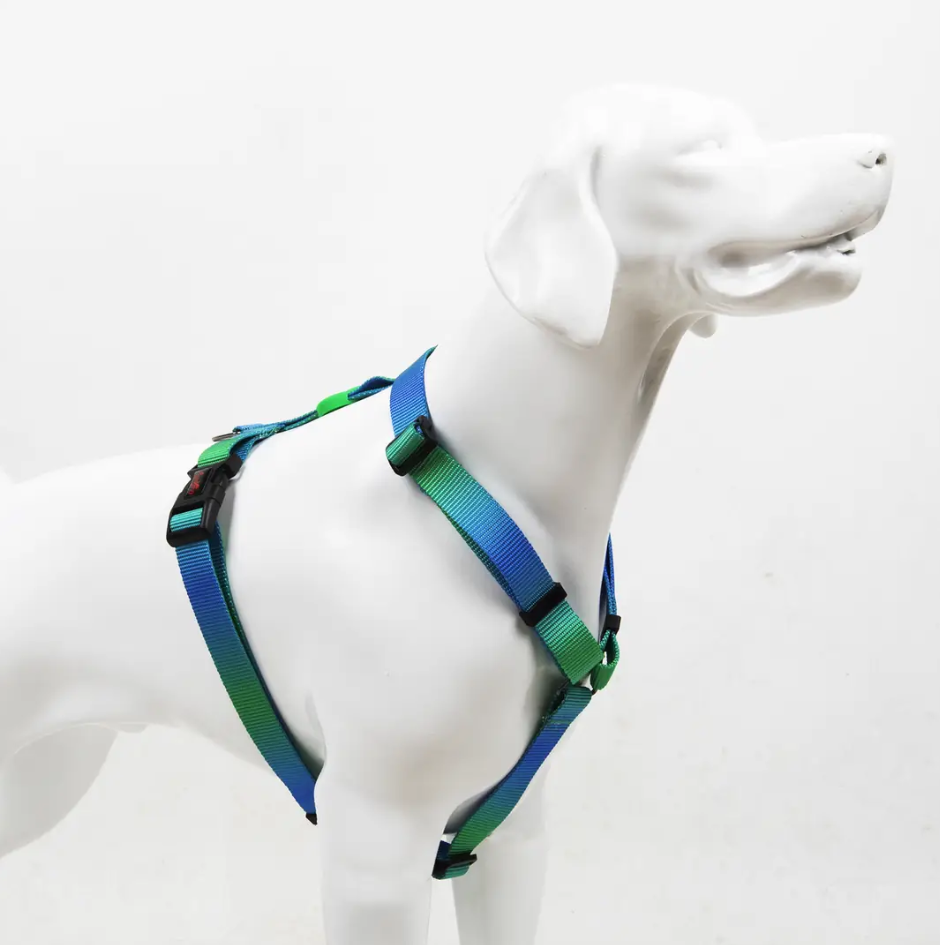 Tailpetz H-tip Amazon M Küçük-Orta Irk Köpek Göğüs Tasması (Göğüs 42 cm x 69 cm)