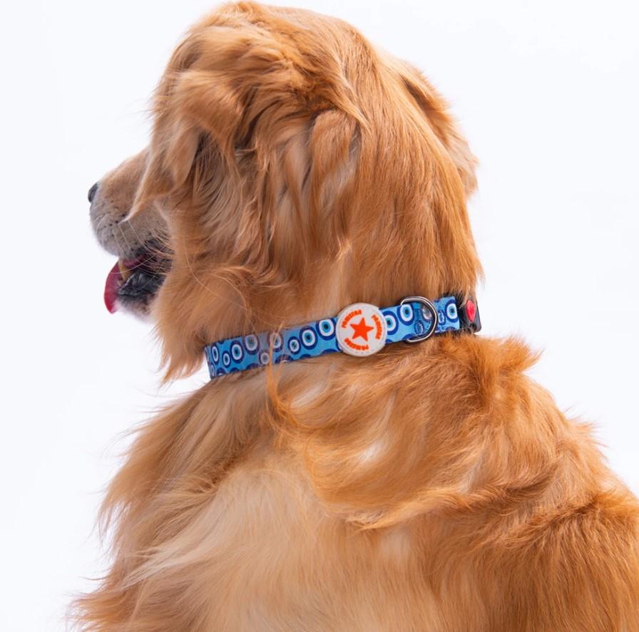 Pawstar Charm Boyun Tasması M (Boyun çevresi: 32 cm x 48 cm)