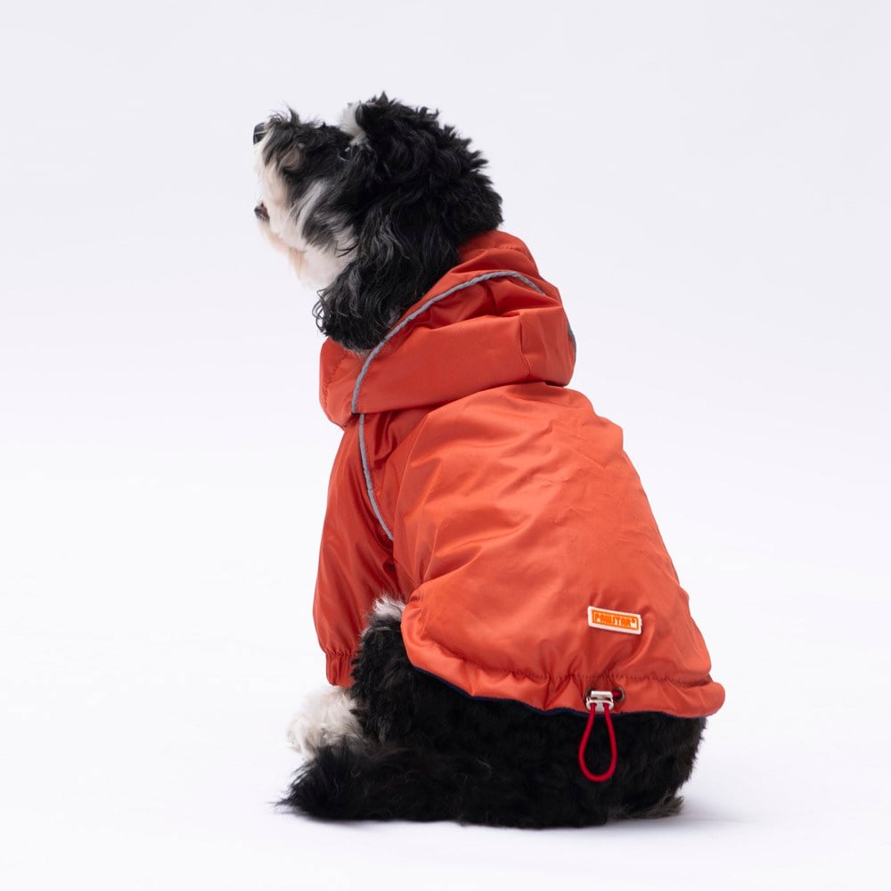 PawStar Turuncu Pluvia Küçük Irk Köpek Yağmurluk