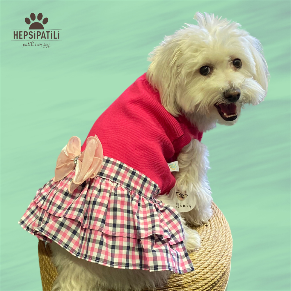 Fuşya Kareli Küçük Irk Köpek Elbisesi (1 kg-10 kg arasına uygun)