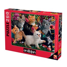 Oyuncu Kediler Puzzle 260 Parça