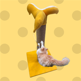 Kedi Tırmalama Tahtası Soytarı, Sarı