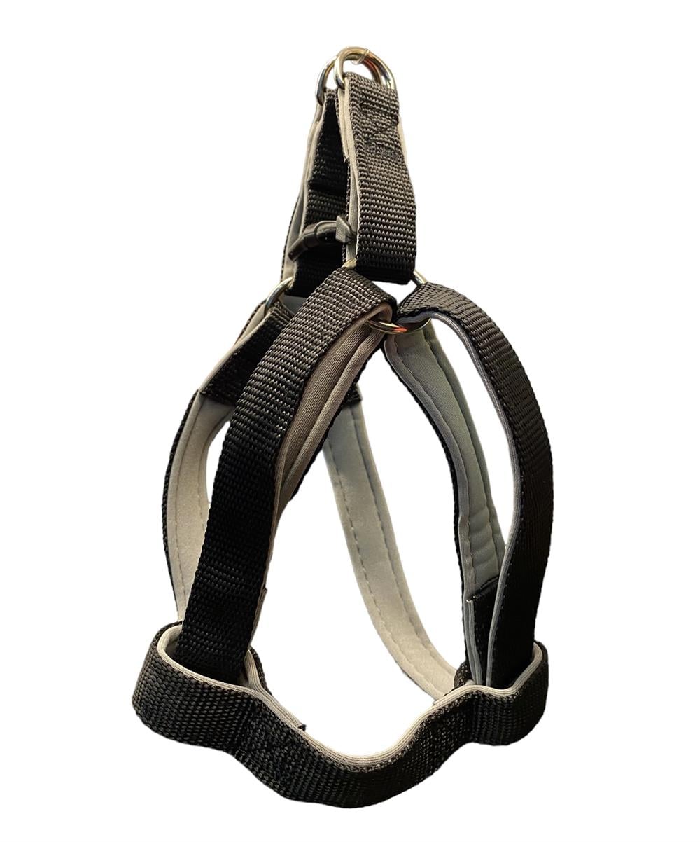 All-day Black Küçük Irk Köpek Göğüs Tasması (Göğüs: 40 cm x 60 cm)