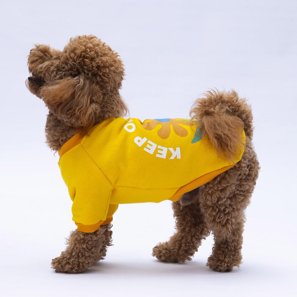 Pawstar Sarı Lahti Polarlı Küçük Irk Köpek Sweatshirtü