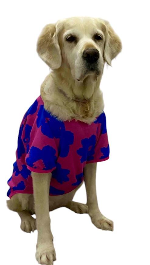 Alphadog Flowers Pink Orta-Büyük Irk Köpek Sweatshirtü (11 kg-36 kg arası köpeklere uygundur)