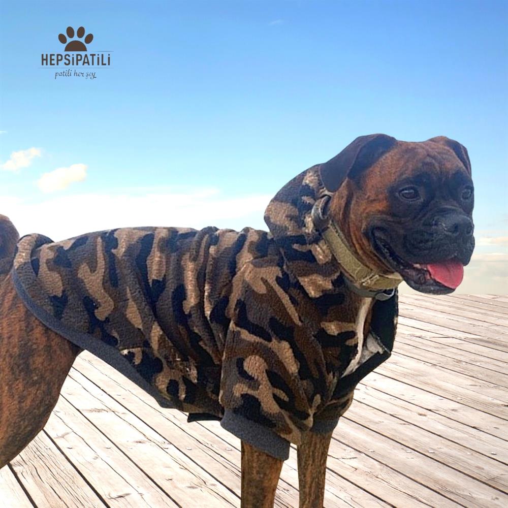 Alphadog Soldier Orta-Büyük Irk Köpek Pofuduk Kaban