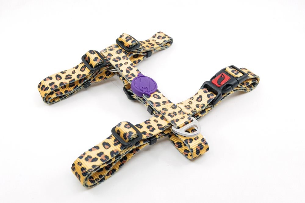 Tailpetz H-tip Leopard S Küçük Irk Köpek Göğüs Tasması (Göğüs 32 cm x 51 cm)