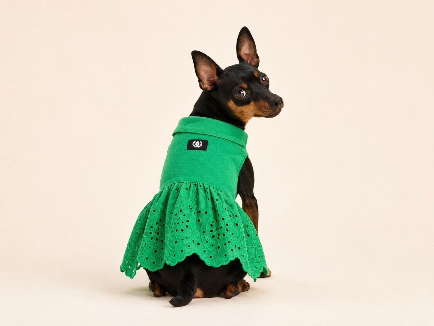 Alphadog Fisto Green Küçük Irk Köpek Elbisesi