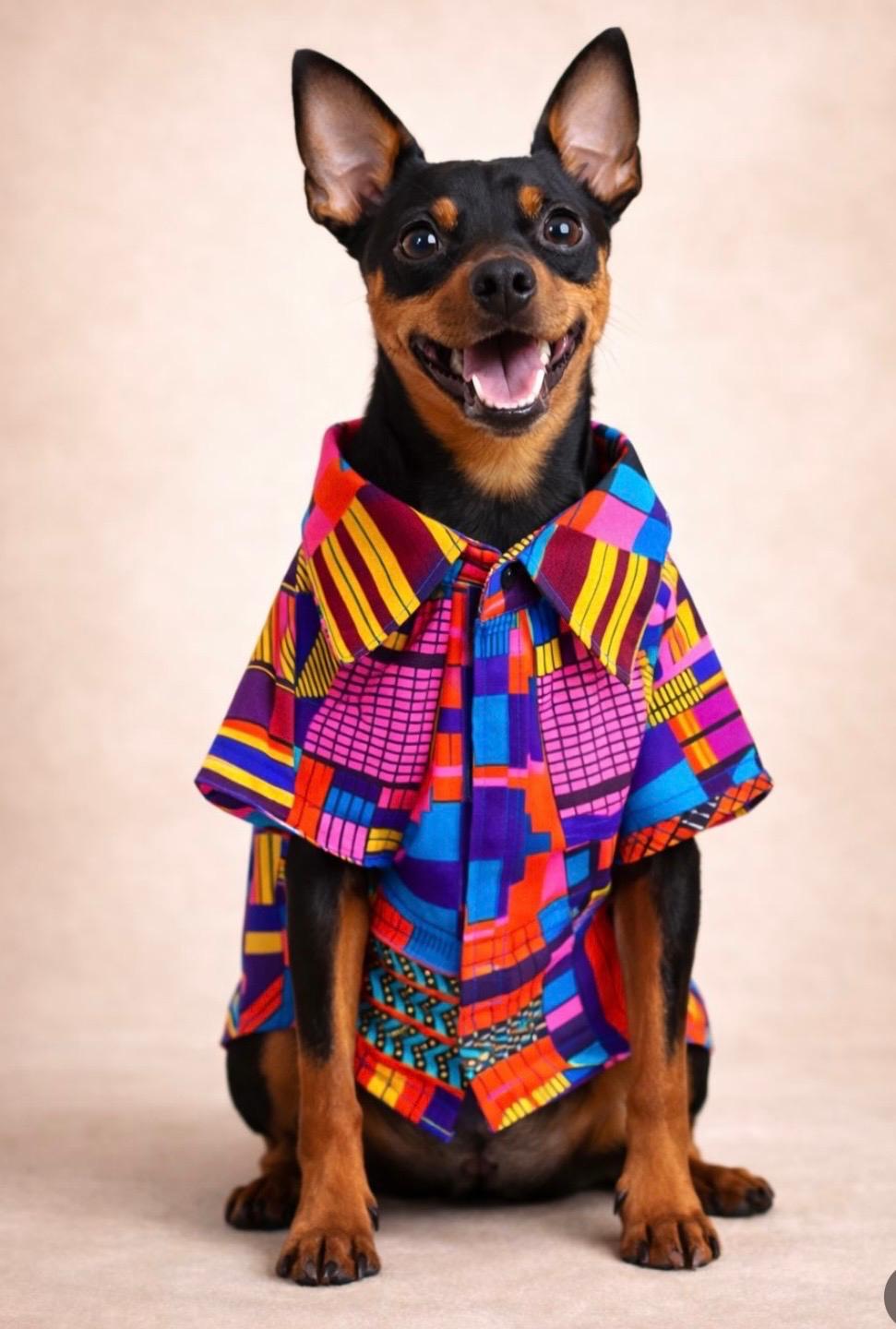 Alphadog Havana Küçük Irk Köpek Gömleği