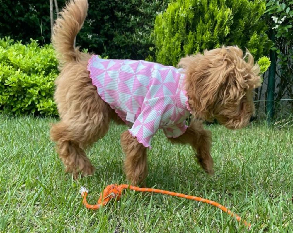 Gedyco Babyish Pink Hearts T-shirt (2 kg - 14 kg arasına uygun bedenlerde)