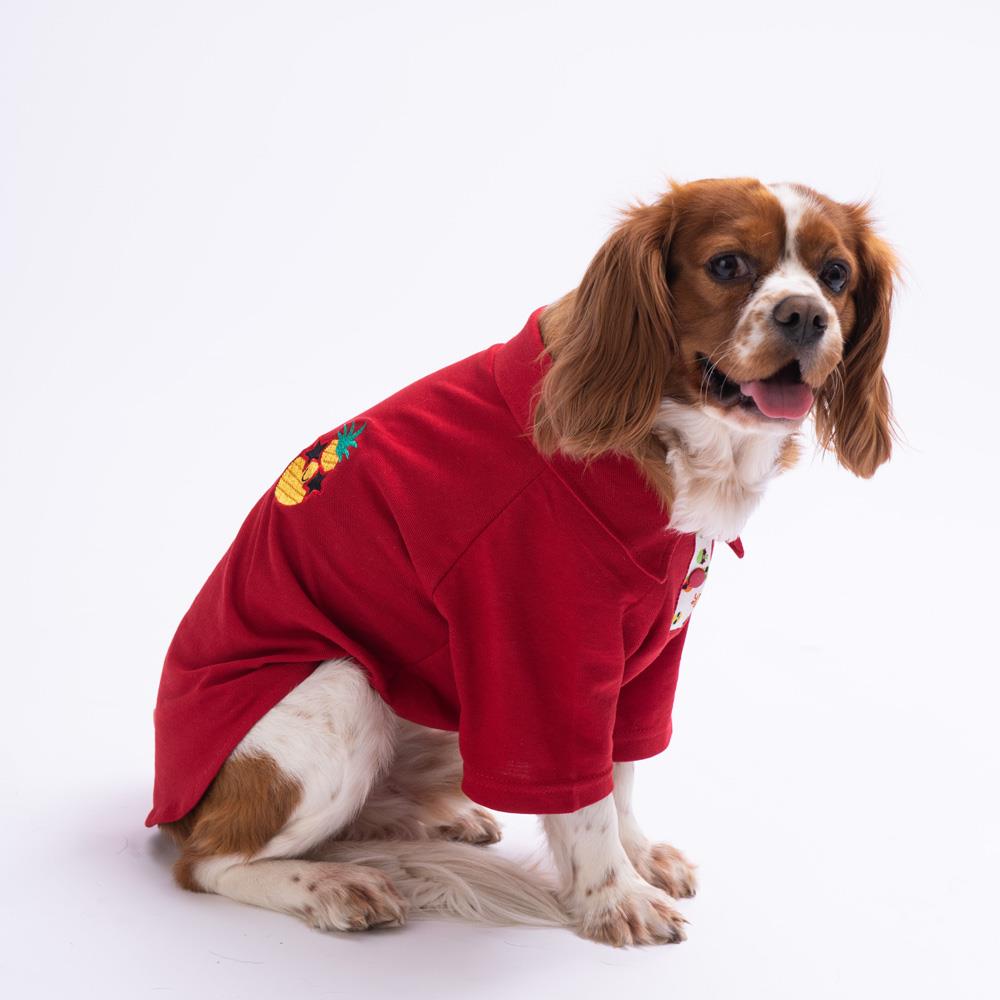 Pawstar Pineapple Küçük Irk Köpek Polo T-shirtü (2,5 kg-11 kg arasına uygun)