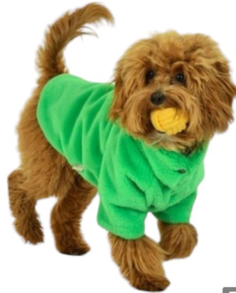 Gedyco Toscano Yeşil Küçük Irk Köpek Peluş Kaban (2,5 kg-8 kg arasına uygun)