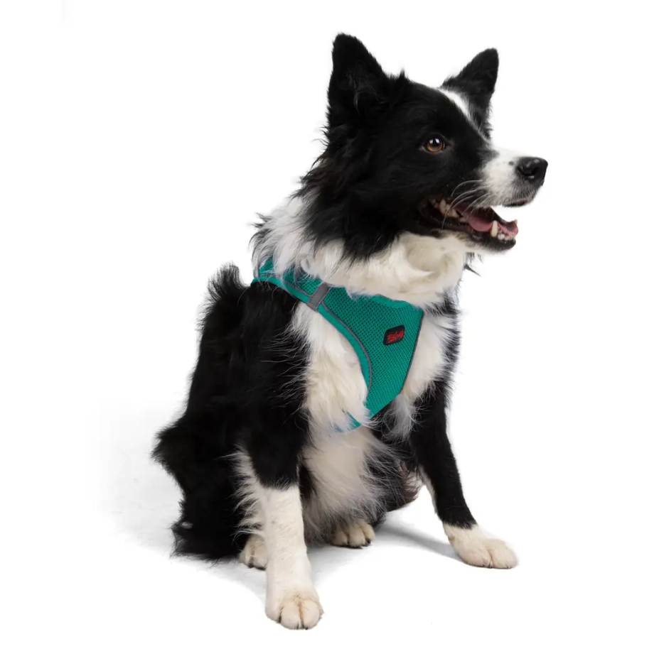 Tailpetz Air-Mesh Emerald Göğüs Tasması