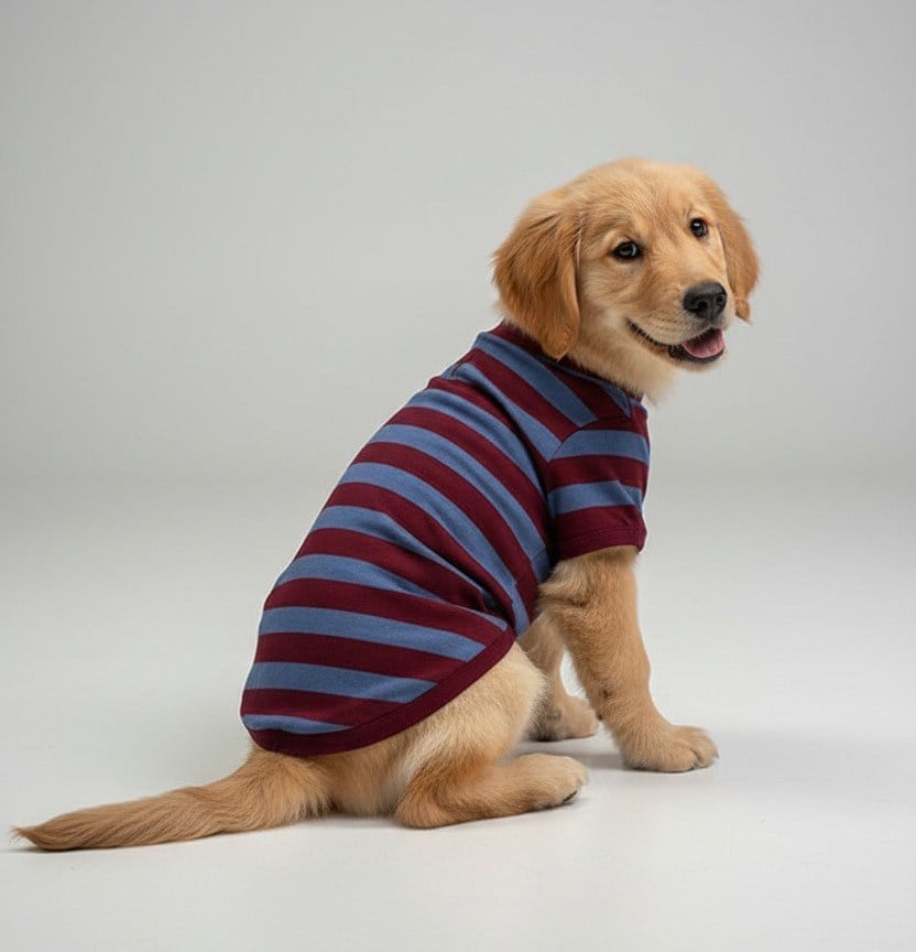 Miniş Trabzon Fans Basic Kaşkorse Köpek Sweatshirtü