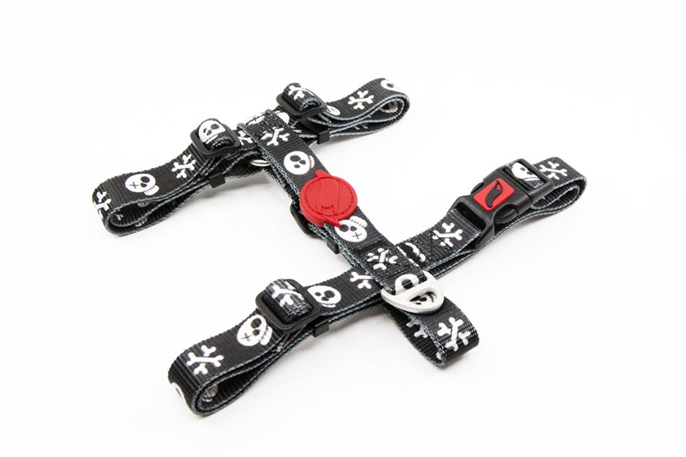 Tailpetz H-tip Boo S Küçük Irk Köpek Göğüs Tasması (Göğüs 32 cm x 51 cm)