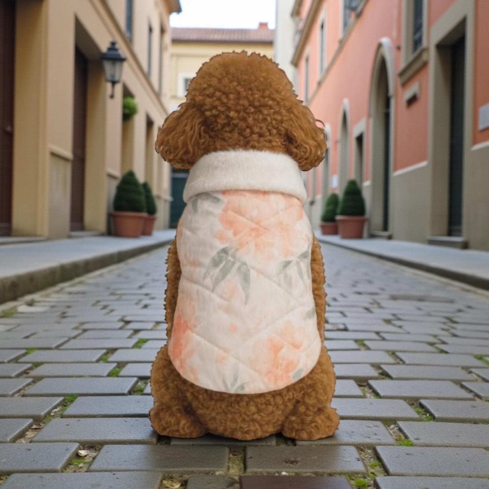 Gedyco Salmon Yumuşacık Baharlık Küçük Irk Köpek Yelek Yağmurluk