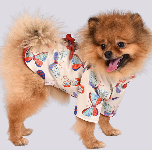 Gedyco Farfalla Kalın Polarlı Küçük Irk Köpek Montu