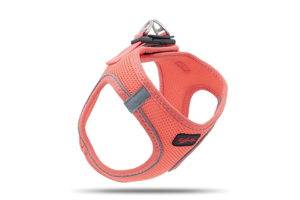 Tailpetz Air-Mesh Salmon Göğüs Tasması
