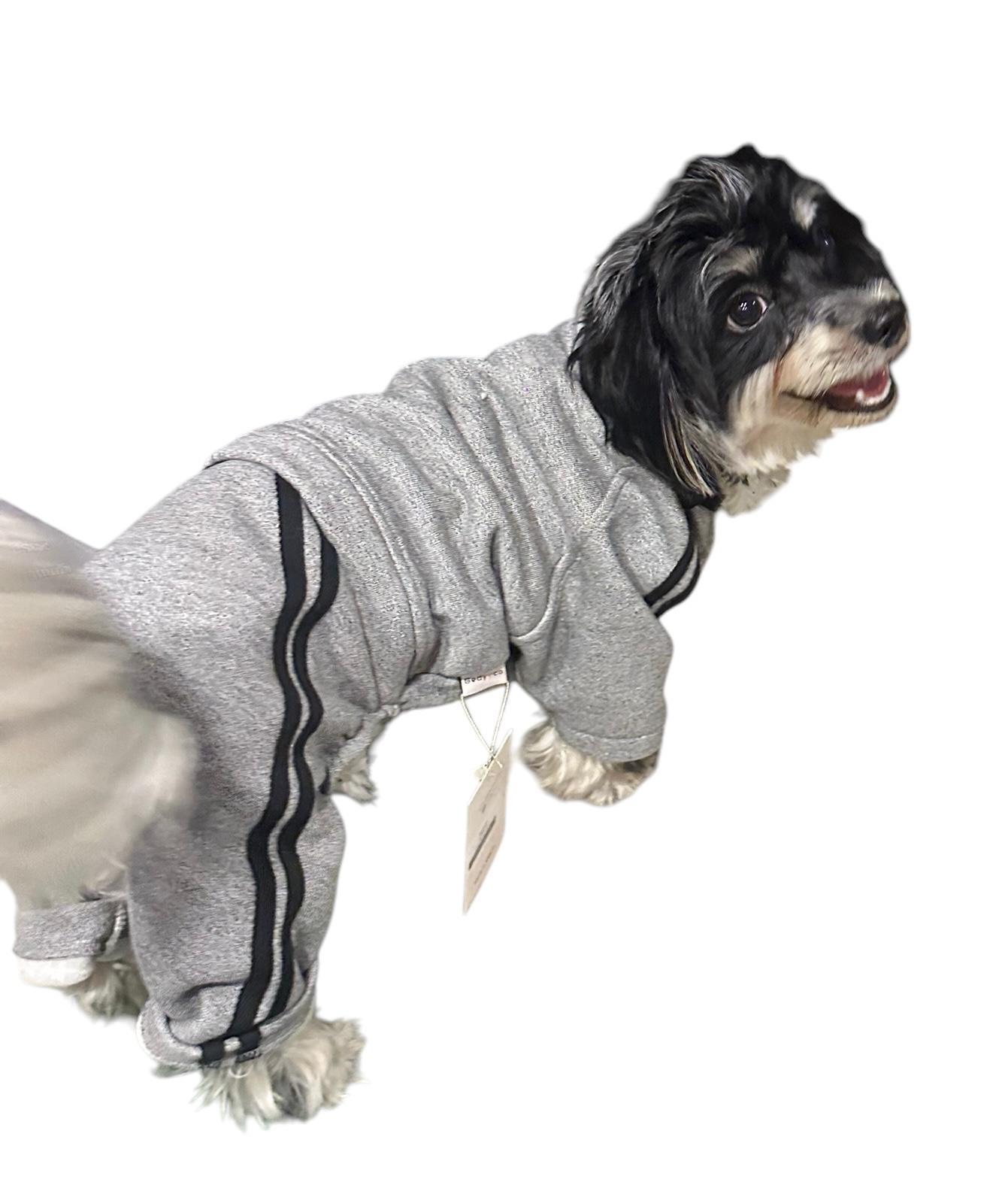 Gedyco Polarlı Gri Küçük Irk Köpek Tulumu