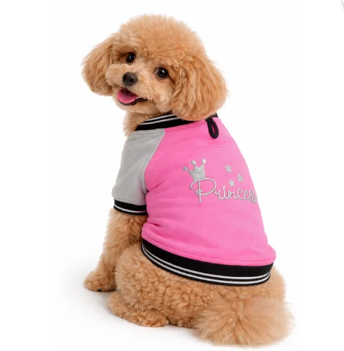 Gedyco Princess Polarlı Küçük Irk Köpek Kolej Sweatshirtü
