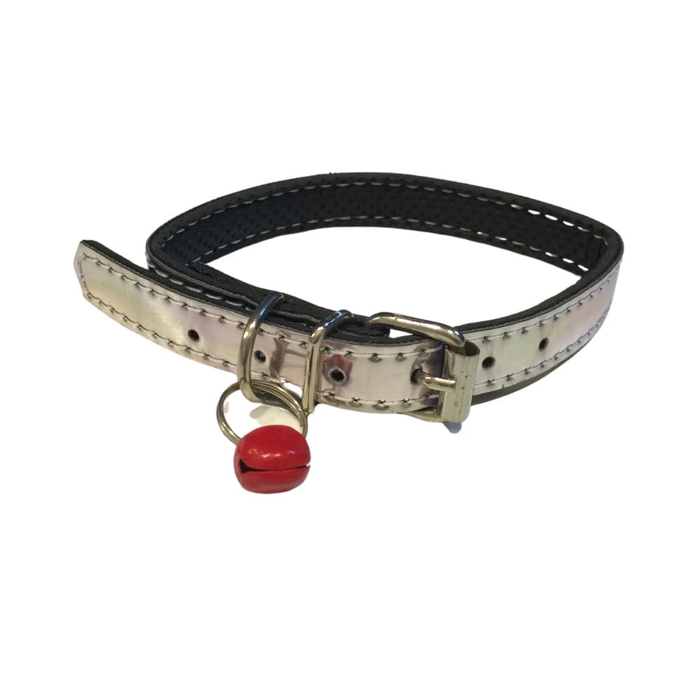 Parlak Gümüş Kedi Boyun Tasması