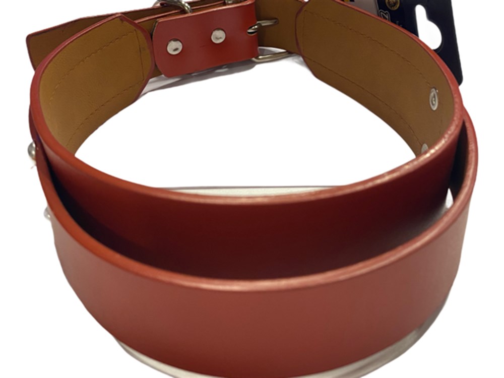 Turuncu Deri Köpek Boyun Tasması 4 cm x 49-57 cm