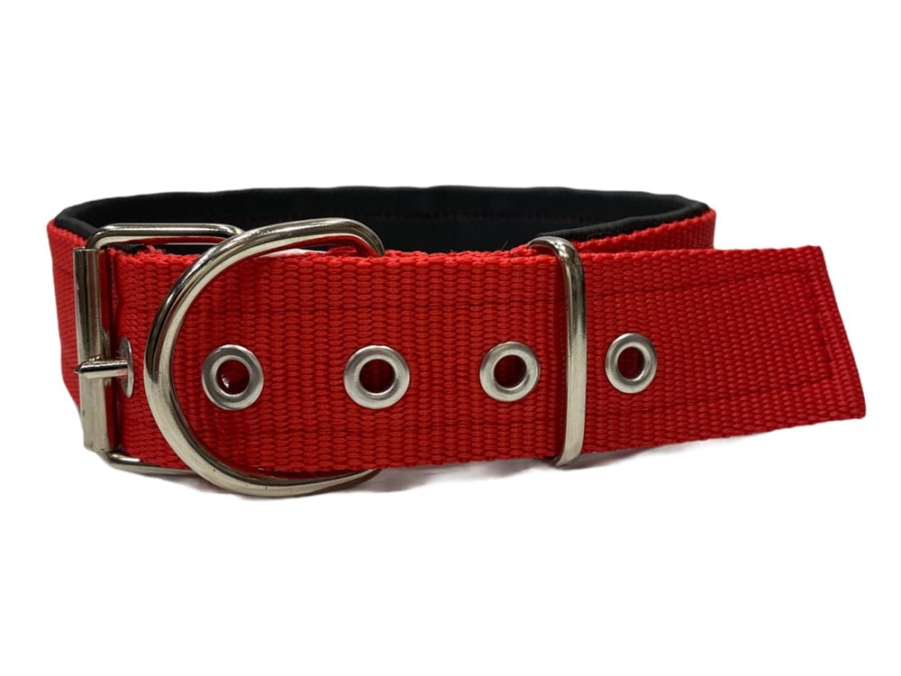 Kırmızı Köpek Boyun Tasması 4 cm x 50-65 cm