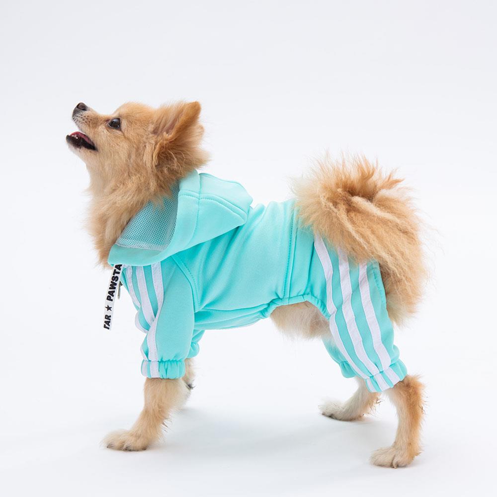 Pawstar Aqua Tuta Küçük Irk Köpek Tulumu