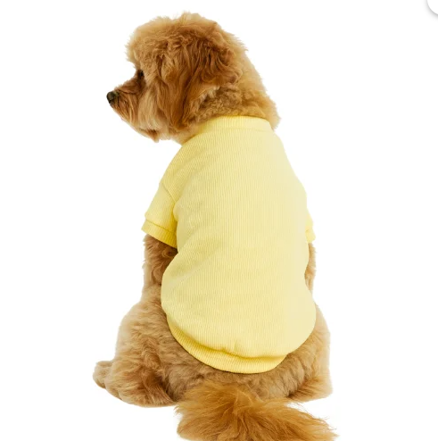 Gedyco Lemon Yellow Küçük Irk Köpek Likralı Triko