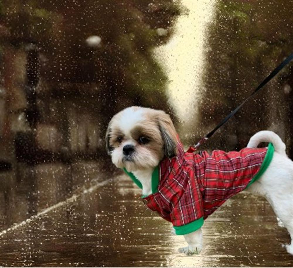 Kırmızı Ekoseli Köpek Yağmurluğu (4,5 kg - 14 kg arası köpeklere uygun bedenlerde)
