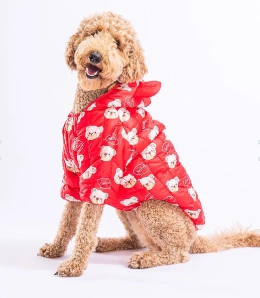 Pawstar Kırmızı Teddy Peluşlu Su İtici Orta-Büyük Irk Köpek Yağmurluğu