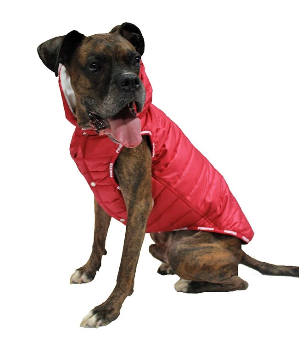 Pawstar Sport Orta-Büyük Irk Köpek Yağmurluğu Kırmızı