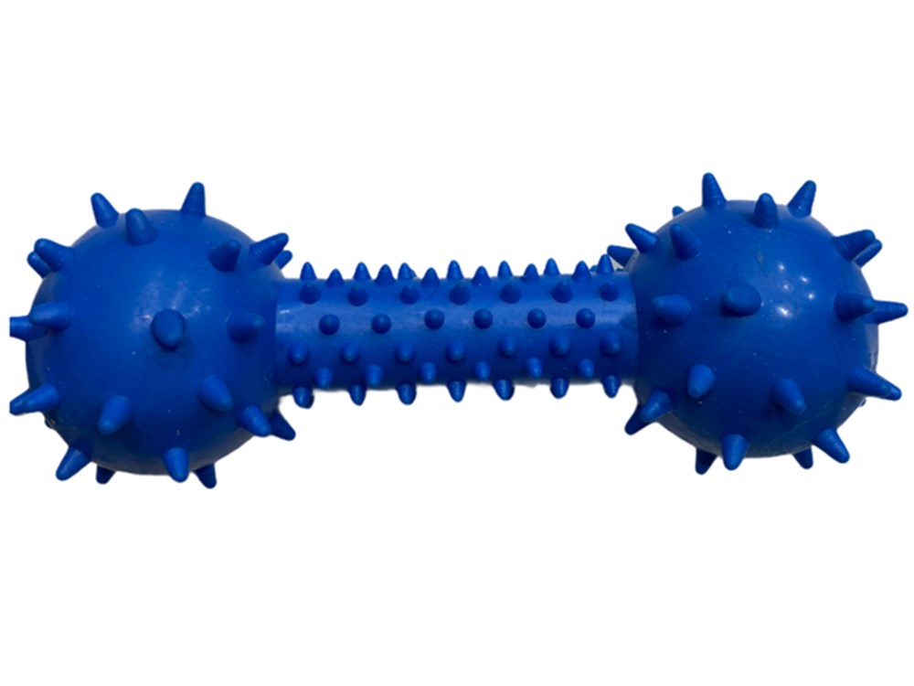 Zilli ve Dikenli Mavi Kauçuk Dumbell Köpek Diş Kaşıma Oyuncağı 12 cm