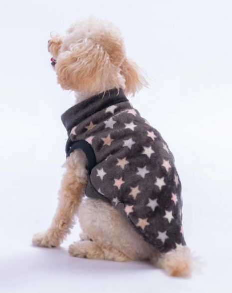 Pawstar Camden Nights Küçük Irk Köpek Peluş Yelek
