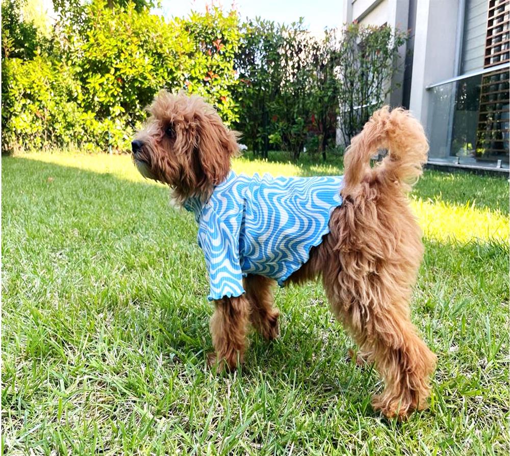 Gedyco Babyish Mavi Batik T-shirt (2 kg - 14 kg arasına uygun bedenlerde)