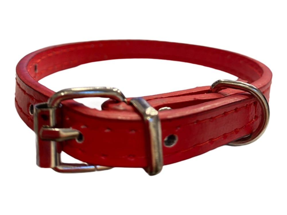 Kırmızı Deri Kedi ve Köpek Boyun Tasması