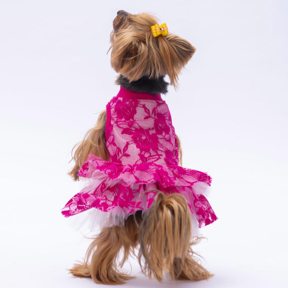 Pawstar Pink Rosa Kedi ve Küçük Irk Köpek Elbisesi