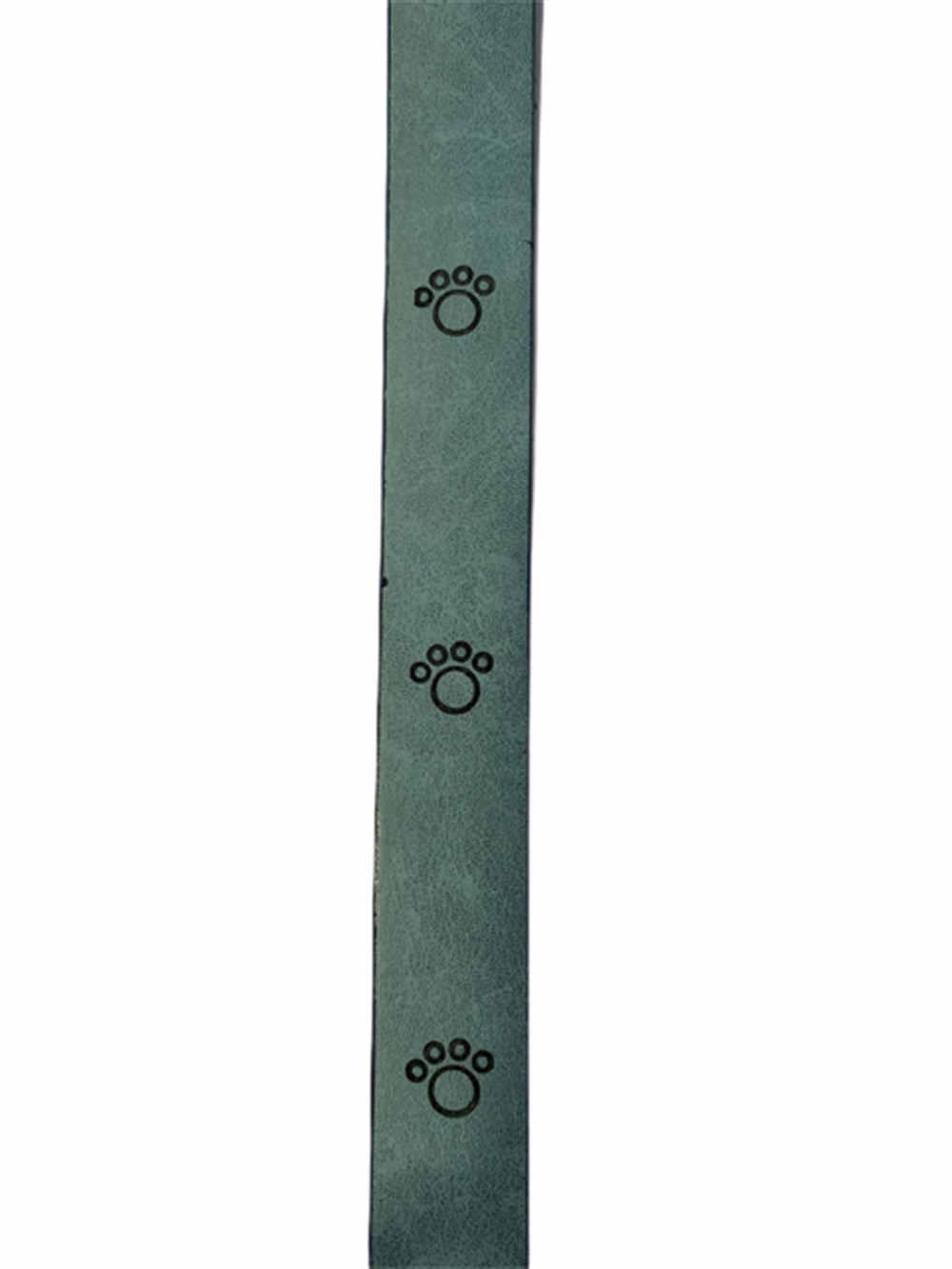 Doglife Pati Desenli Su Yeşili Deri Boyun Tasması 2,5 cm x 54 cm (Boyun: 36-46 cm)