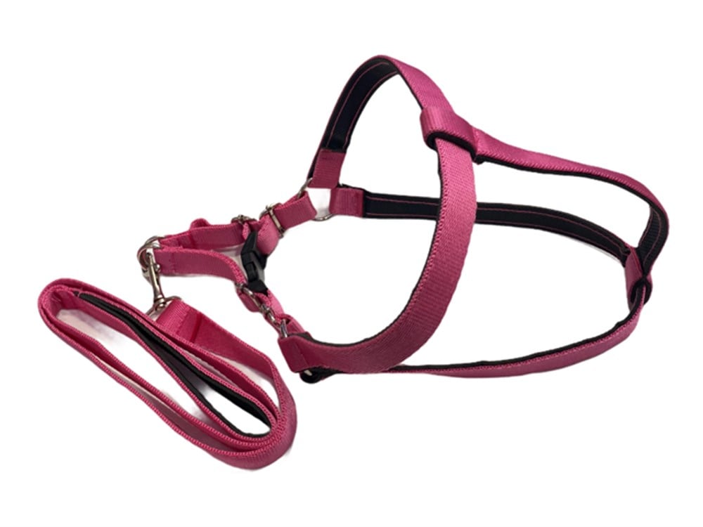 Orta Boy Pembe Yumuşak Dokulu Göğüs Tasması ve Gezdirme Kayışı Seti 2 cm x 100 cm (60 cm göğüs)