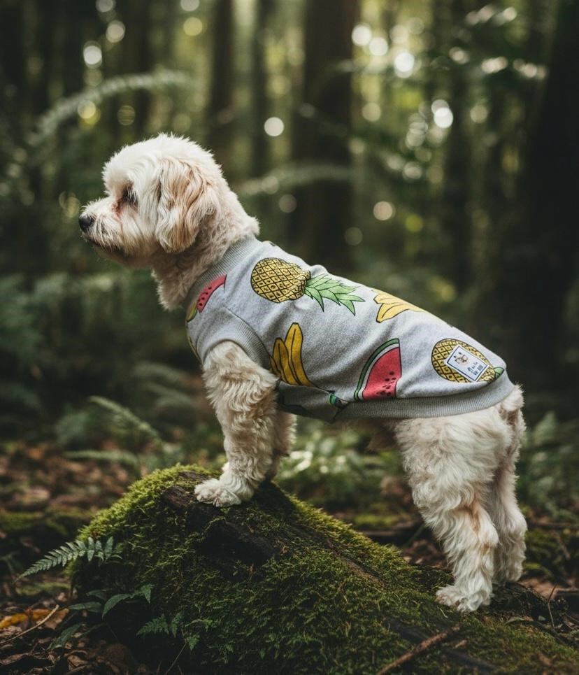 Miniş Tropical Küçük Irk Köpek Penye T-Shirt