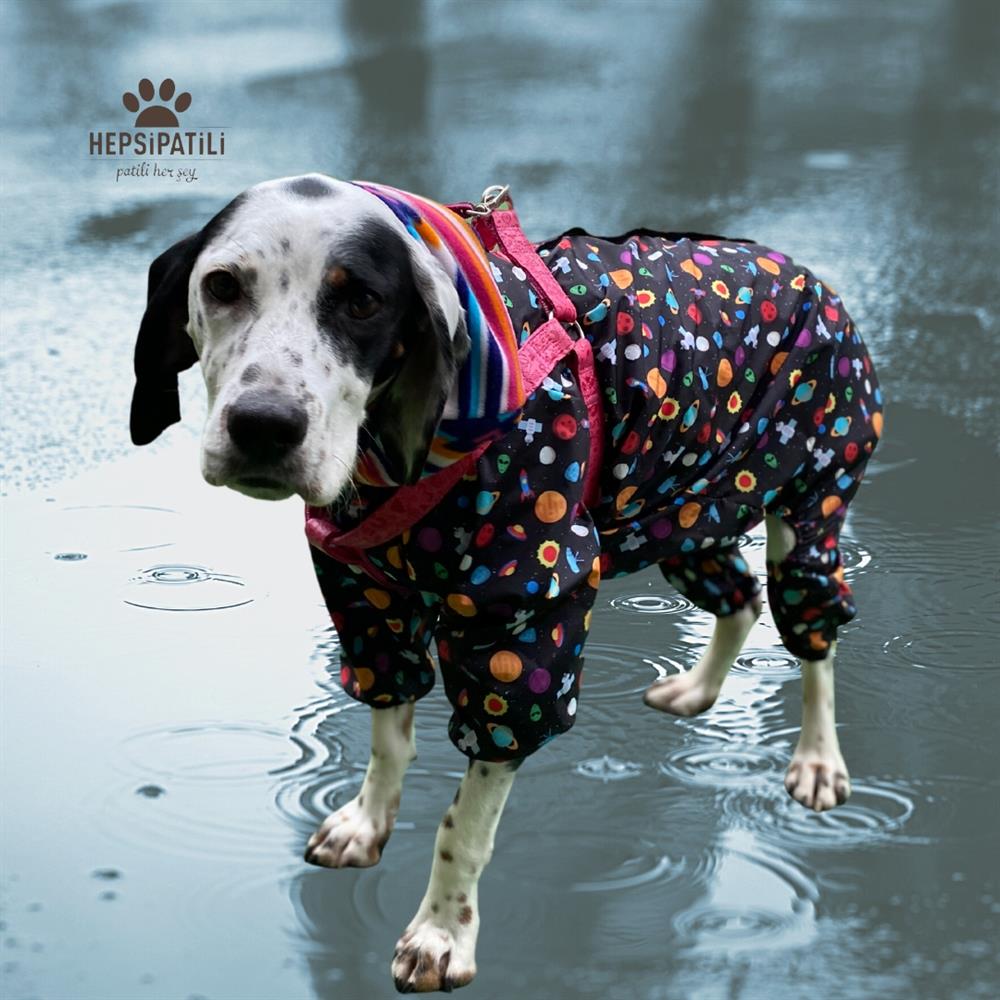 Alphadog Space İnce Orta-Büyük Irk Köpek Yağmurluk Tulum