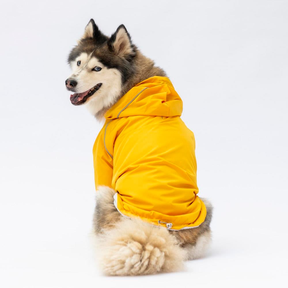 PawStar Sarı Pluvia Büyük Irk Köpek Yağmurluk