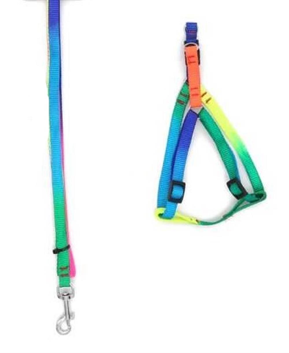 Neon Rainbow Kedi ve Köpek Gezdirme Kayışı ve Göğüs Tasma Seti