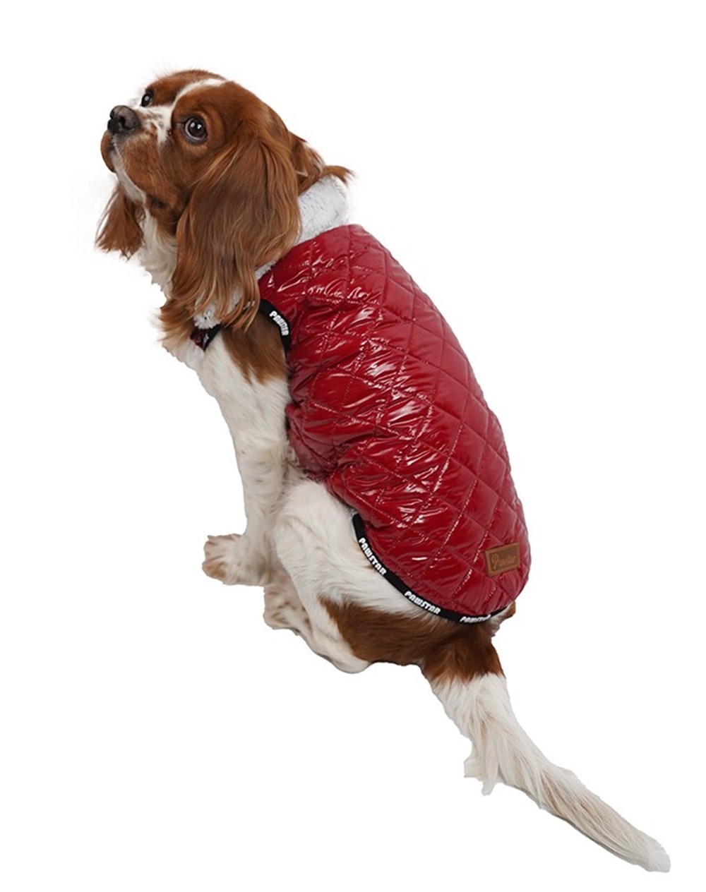 Pawstar Puff Kırmızı Küçük Köpek Montu