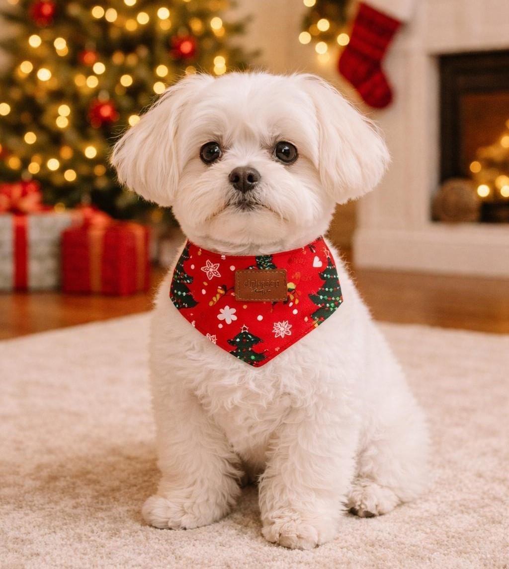 Alphadog Red Merry XMas Kedi ve Köpek Bandanası