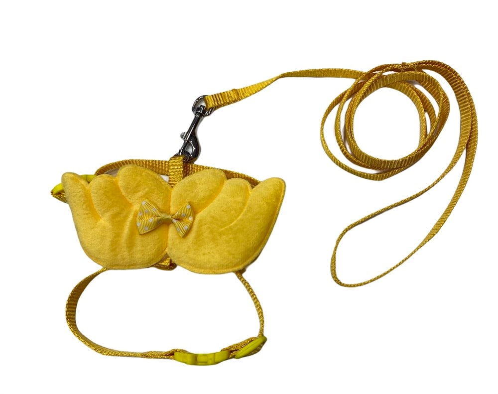 Sarı Kanat Kedi ve Köpek Gezdirme ve Göğüs Tasma Seti