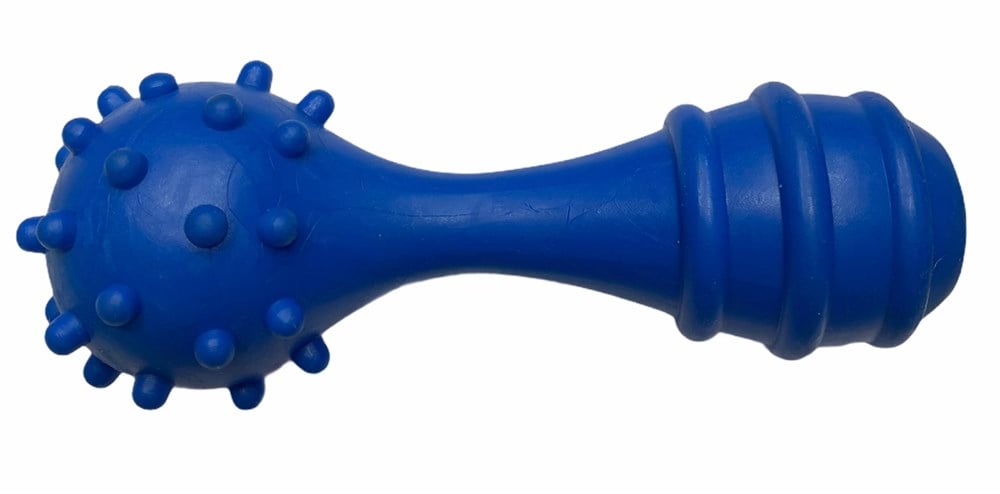 Zilli ve Kabarcıklı Mavi Kauçuk Dumbell Köpek Diş Kaşıma Oyuncağı 13 cm
